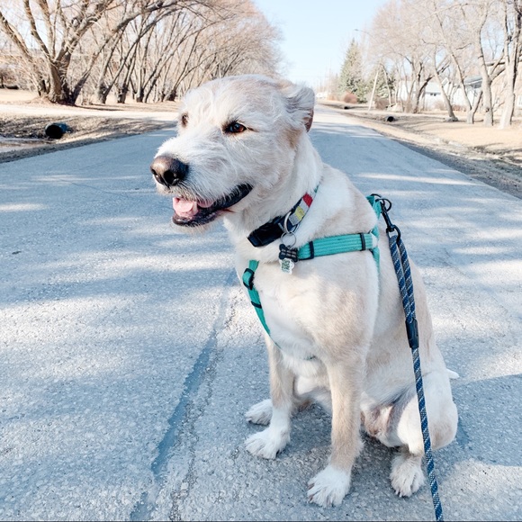 Meet your Posher, Amanda - Picture 1 of 1